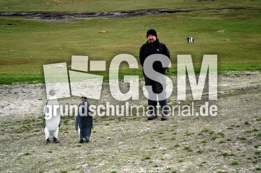 Königspinguin (15 von 84).jpg